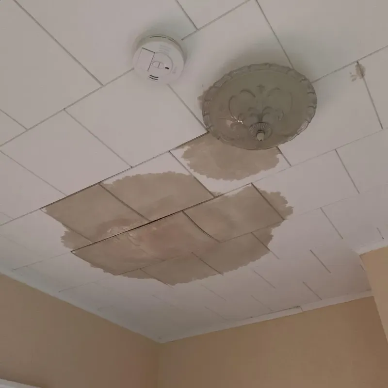 Ceiling Water Damage Repair in Glacier County, MT