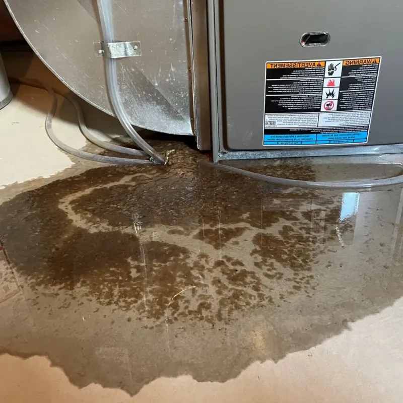 Pipe Burst and Leak Restoration in Glacier County, MT